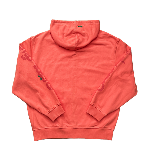 BETTER DAYS ZIP HOODIE (ORANGE)