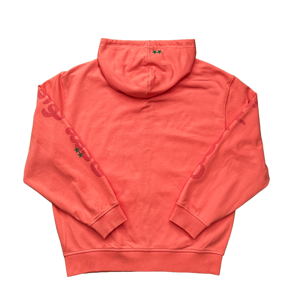 BETTER DAYS ZIP HOODIE (ORANGE)